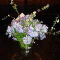 DSC00248.JPG