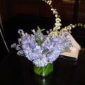 DSC00258.JPG