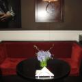 DSC00264.JPG