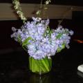 DSC00266.JPG