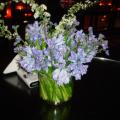DSC00273.JPG
