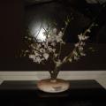 DSC00277.JPG