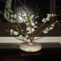 DSC00280.JPG