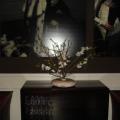 DSC00281.JPG