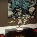 DSC00286.JPG