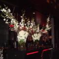 DSC00292.jpg