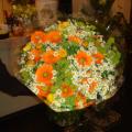 DSC00374.JPG