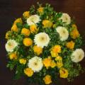 DSC00388.JPG