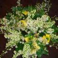 DSC00390.JPG
