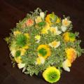 DSC00391.JPG