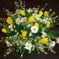DSC00392.JPG