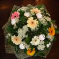 DSC00395.JPG