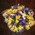DSC00397.JPG