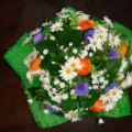 DSC00398.JPG