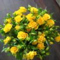 DSC00412.JPG