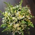 DSC00413.JPG
