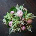 DSC00441.JPG