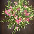 DSC00445.JPG