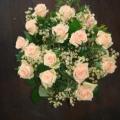DSC00451.JPG