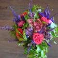 DSC00508.JPG