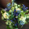 DSC00534.JPG