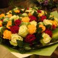 DSC00544.JPG