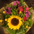 DSC00720.JPG