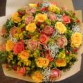 DSC00754.JPG