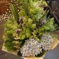 DSC00765.jpg