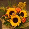 DSC00771.JPG