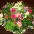 DSC00828.JPG