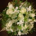 DSC00849.JPG