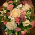 DSC00855.JPG