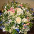 DSC00856.JPG