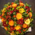 DSC00933.JPG