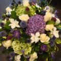 DSC00936.JPG