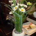 DSC00564.JPG