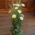 DSC00579.JPG