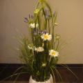 DSC00587.JPG