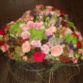DSC00634.JPG