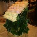 DSC00649.jpg