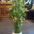 DSC00740.jpg