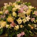 DSC00750.JPG
