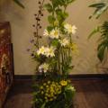 DSC00773.JPG