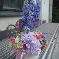 DSC00916.JPG