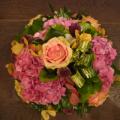 DSC00970.JPG