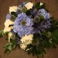DSC00972.JPG