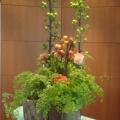 DSC01050.jpg