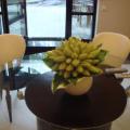 DSC01205.JPG