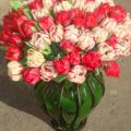 DSC01439.jpg